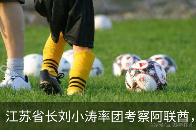 江苏省长刘小涛率团考察阿联酋，深化互利合作